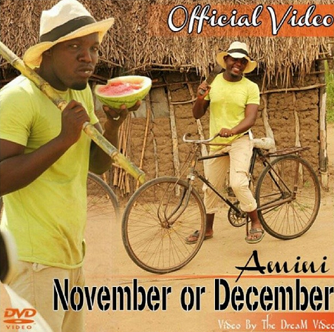 Amini November or December Video Art