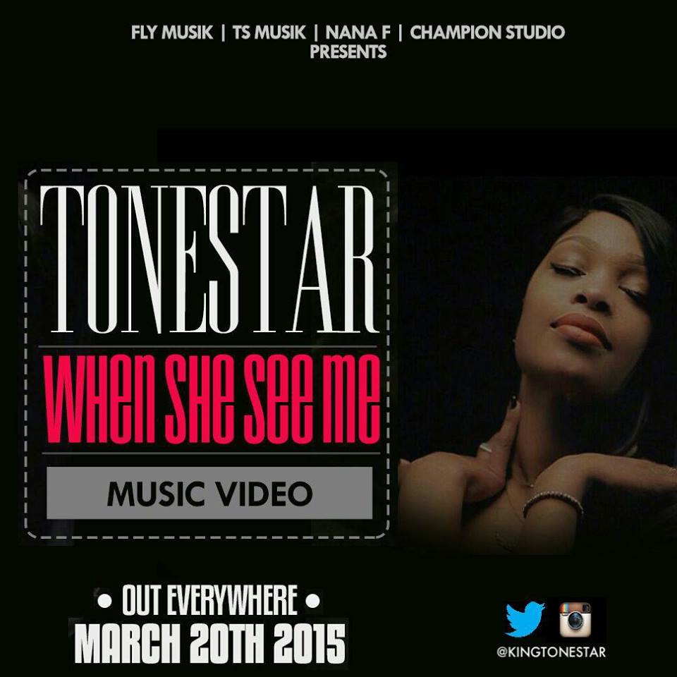 tonestar video art (1)