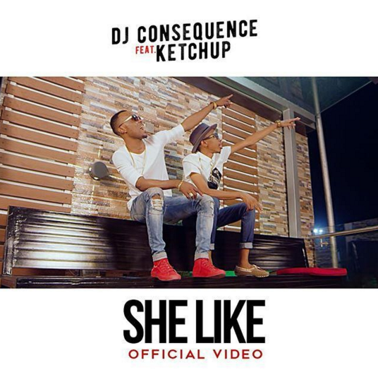 VIDEO: DJ Consequence ft. Ketchup - She Like