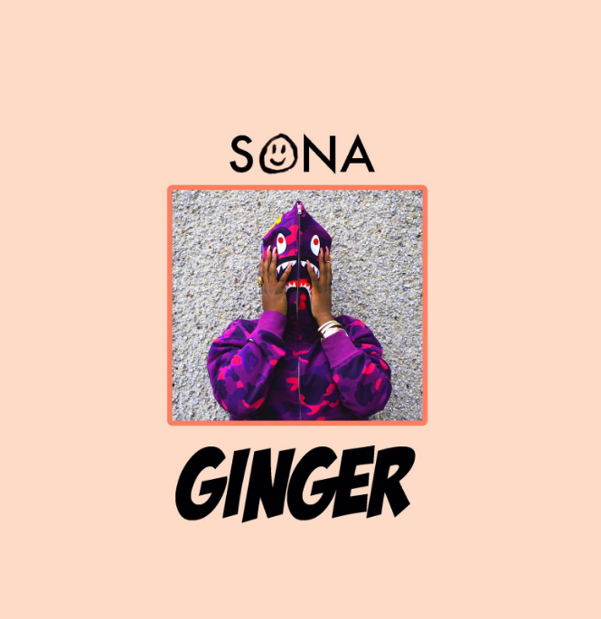 Image result for Sona - Ginger