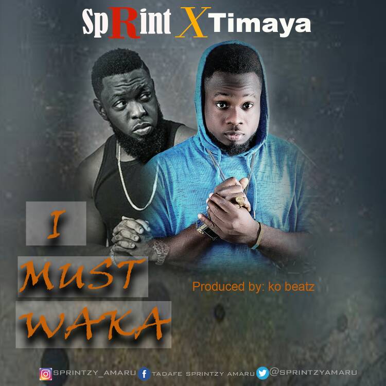 Sprint Ft. Timaya – I Must Waka 