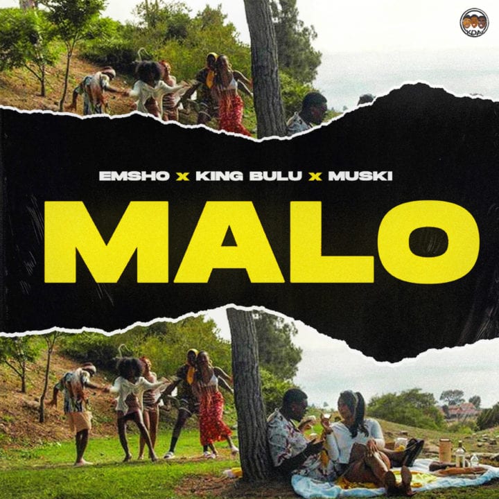 Afrobeat Group Sensation, YDN is back with another visual “Malo”