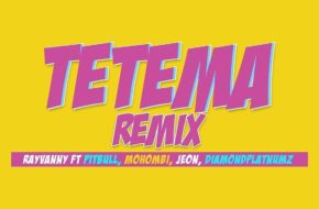 Rayvanny Ft. Diamond Platnumz, Mohombi, Jeon & Pitbull - Tetema Remix