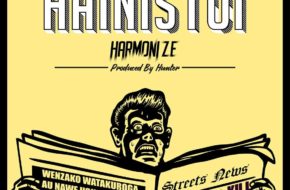 Harmonize-Hainistui