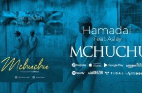Hamadai ft. Aslay - Mchuchu