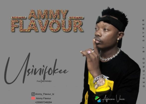 Ammy Flavour - Usinifokee