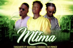 Tanzanite ft. Barnaba, Baraka The Prince - Mtima