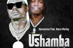 Harmonize ft. Naira Marley - Ushamba Remix