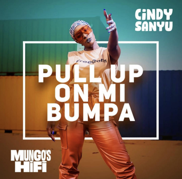 Cindy Sanyu - Pull Up On Mi Bumpa