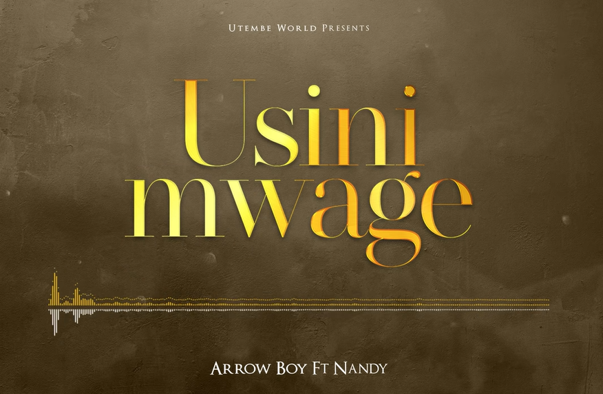Arrow Bwoy ft. Nandy - Usinimwage