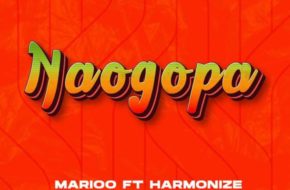 Naogopa Lyrics