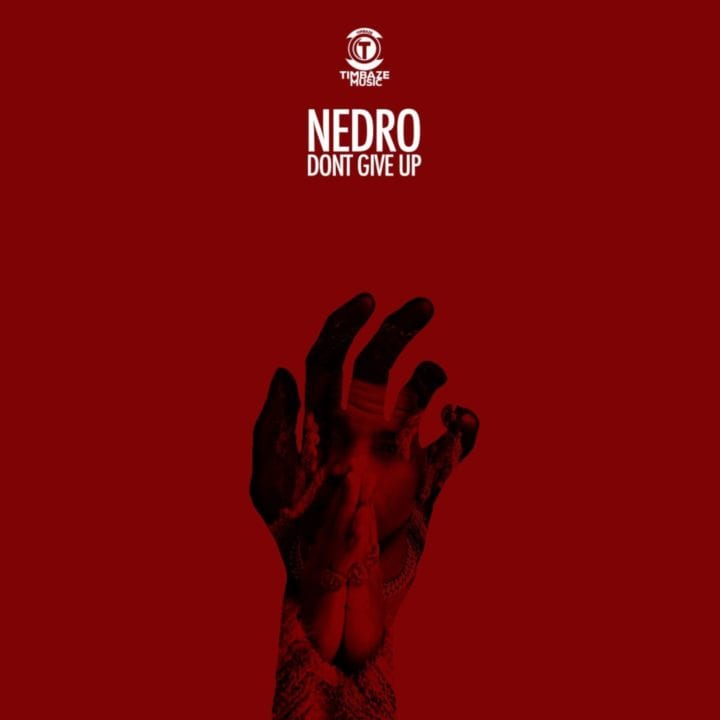 Nedro – Don't Give Up