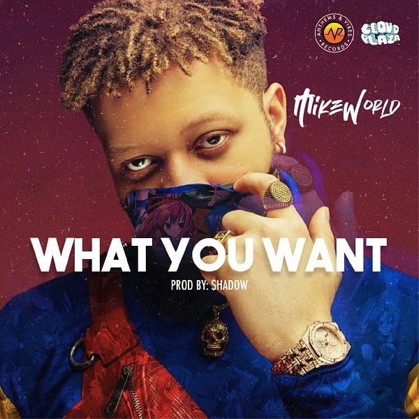 Mike World – What You Want