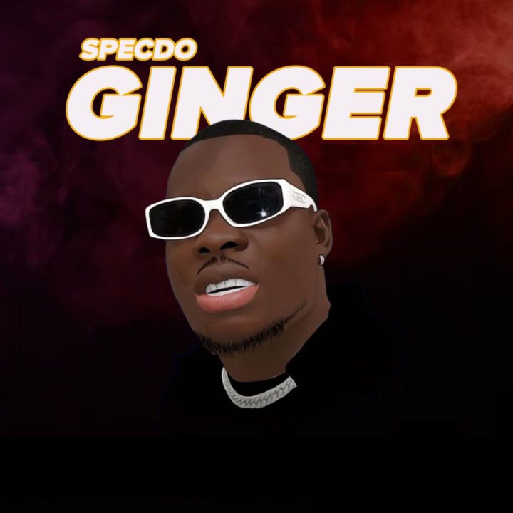 SPECDO Unveils The 'Ginger' With New Single – .