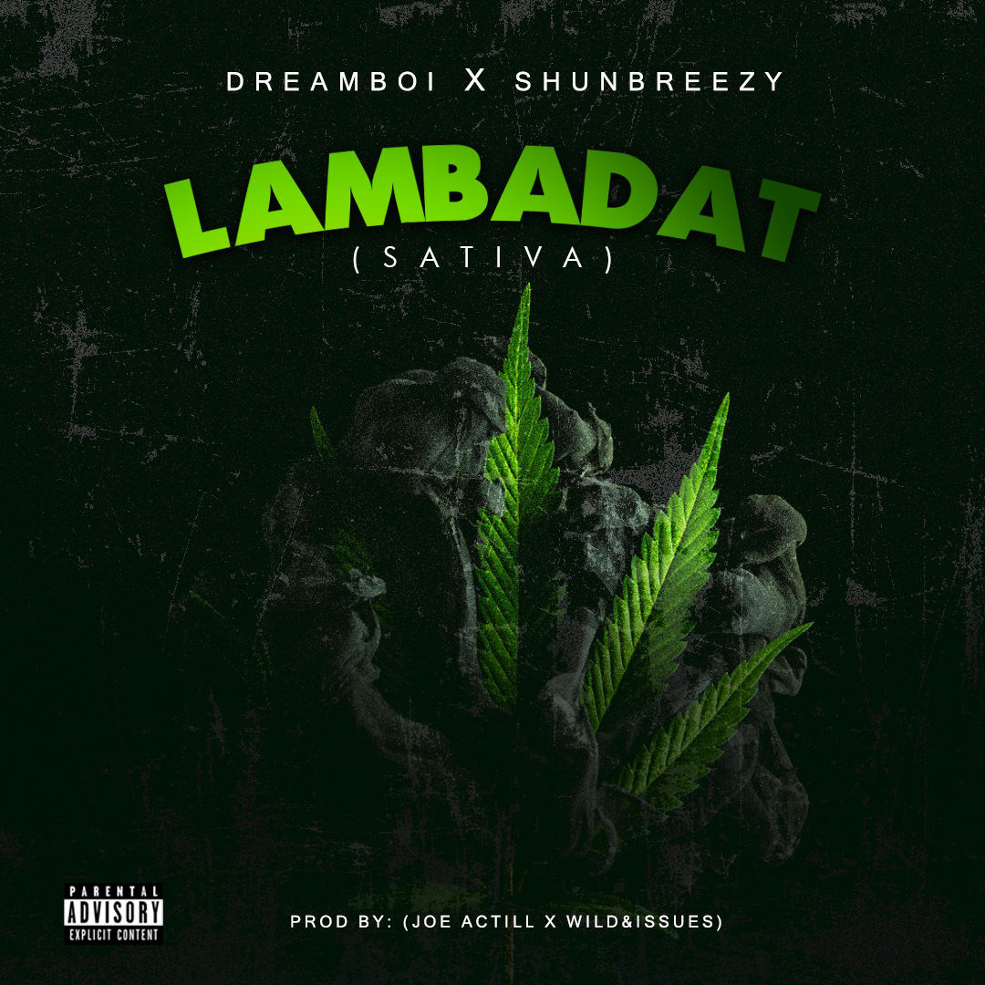 VIDEO: DreamBoi x Shunbreezy – Sativa