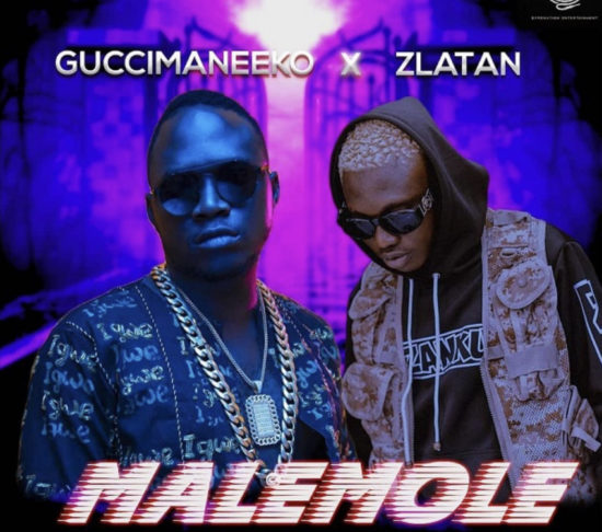 Guccimaneeko ft. Zlatan - Malemole