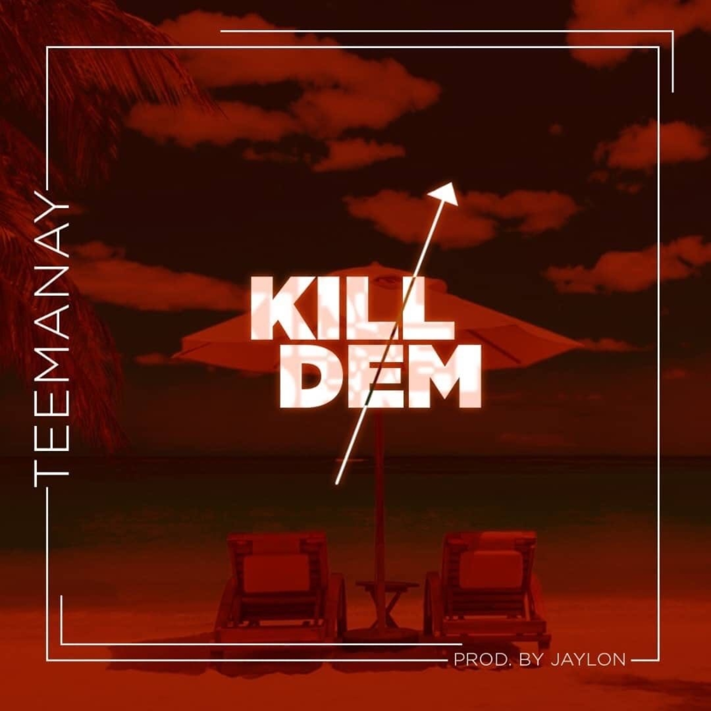 Teemanay – Kill Dem [Official music Video]