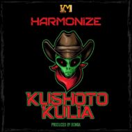 VIDEO: Harmonize – Kushoto Kulia