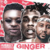 Airboy - Ginger ft. Burna Boy & Cassper Nyovest