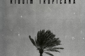 Drey Beatz - Riddim Tropicana