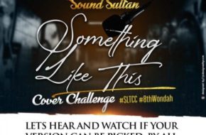 Sound Sultan - Something Like This