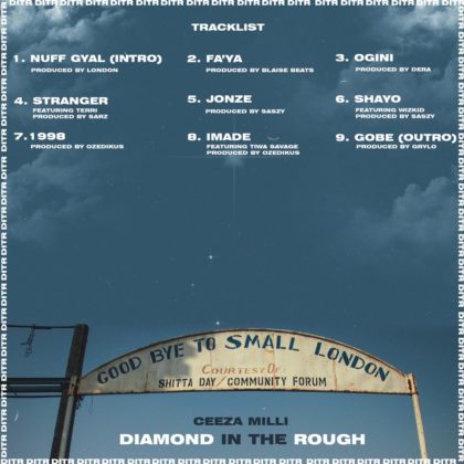 Diamond In The Rough Tracklist