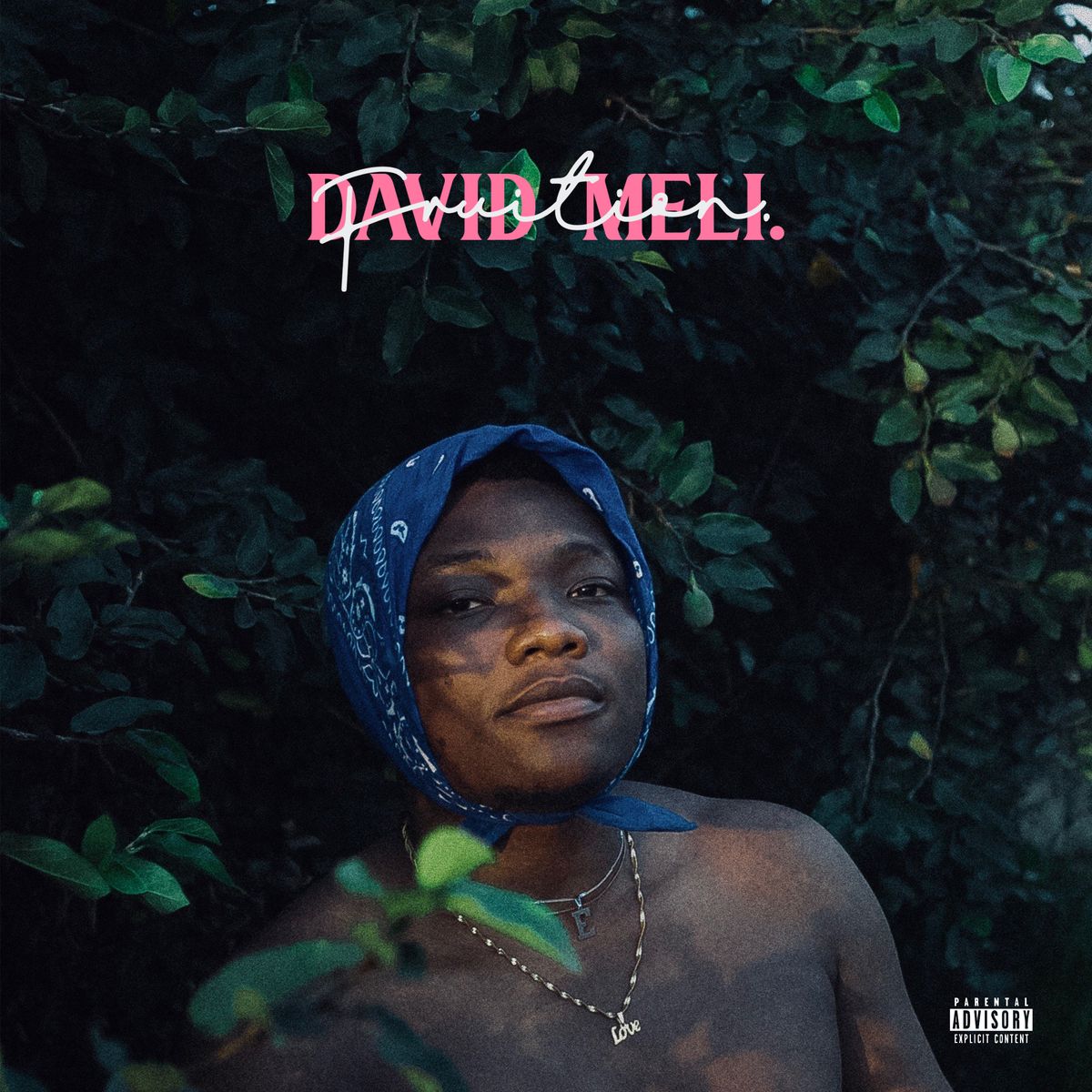 David Meli - Wande Coal - Akon & Wizkid: Best New Music