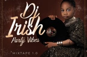 DJ Irish Presents: Party Vibes Mixtape 1.0