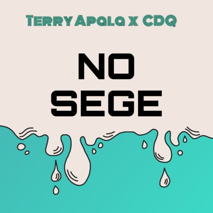 Terry Apala - No Sege ft. CDQ