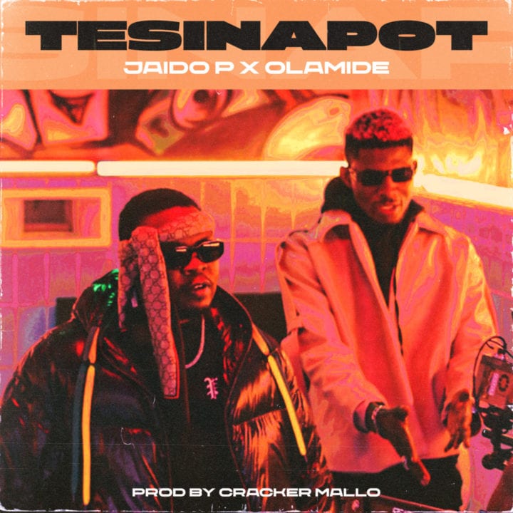 Cover Artwork for Tesinapot