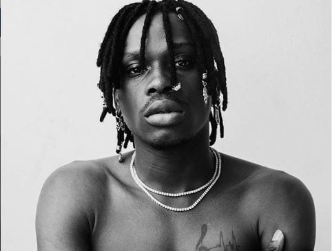 Fireboy DML's 10 Best Songs as Apollo Album Drops - Notjustok