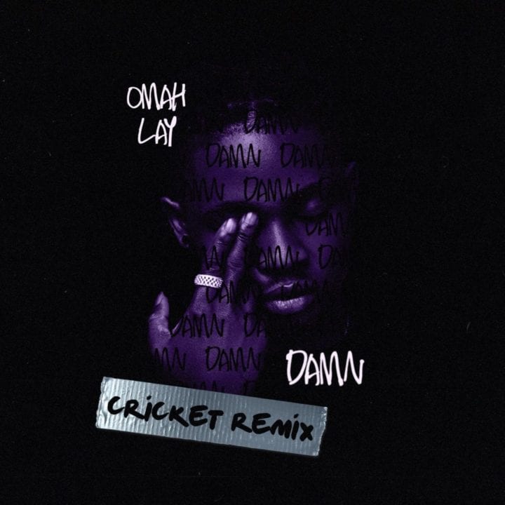 Omah Lay - Damn Cricket Remix