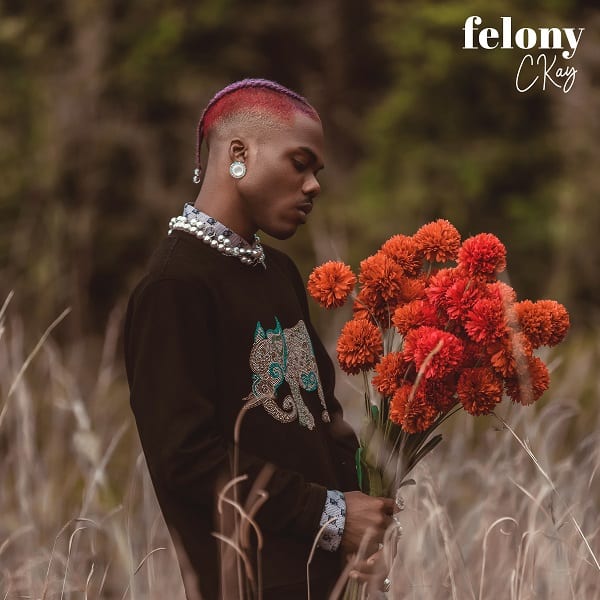 Correct Felony Lyrics by CKay | Read here