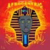 Demmie Vee - Afrocentric (Album)
