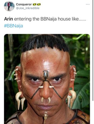 See Top Reactions to New BBNaija Housemate Arin and Her 17 Piercings