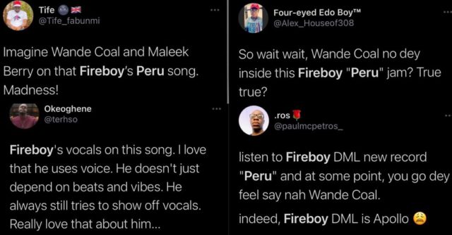 Fireboy Peru Reaction