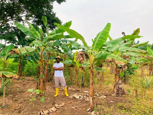 Maleek Berry Shares Photos of New Farm in Ogun State NotjustOK