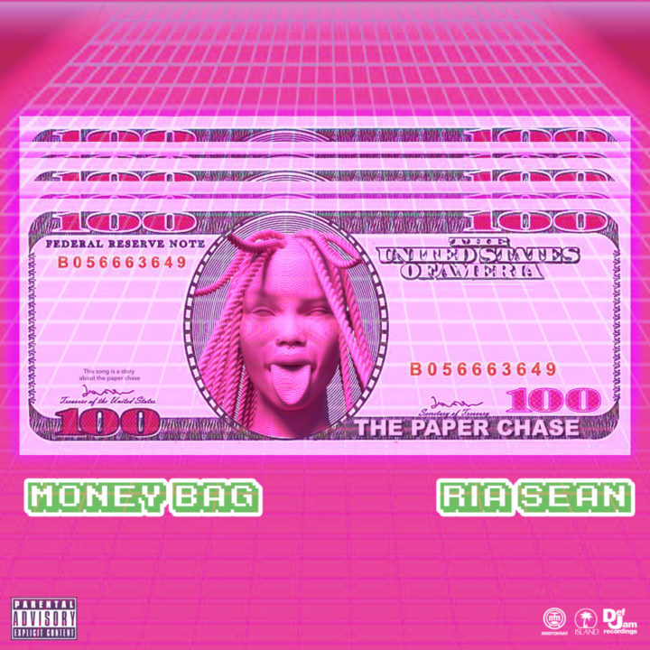 Ria Sean - Money Bag