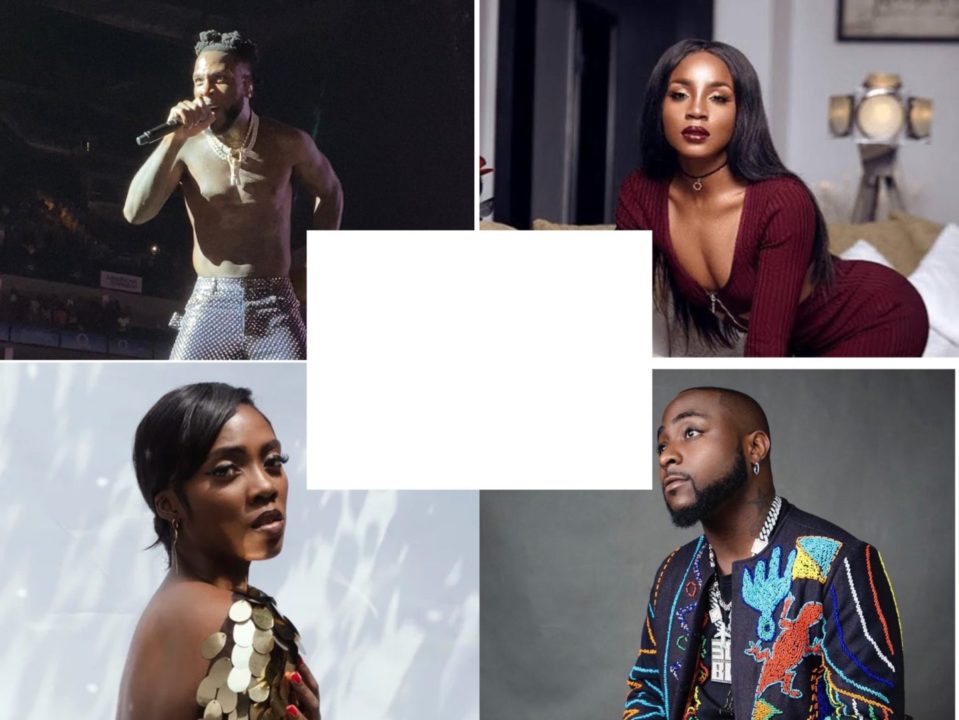 Celebrity fights Nigerian music 