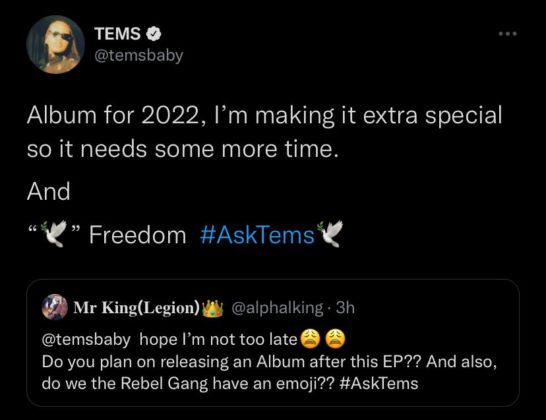 Tems Reveals Plans for Debut Album Next Year Details NotjustOK