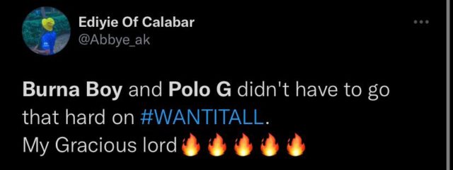 See Reactions to Burna Boy and Polo G New Collab Want It All NotjustOK