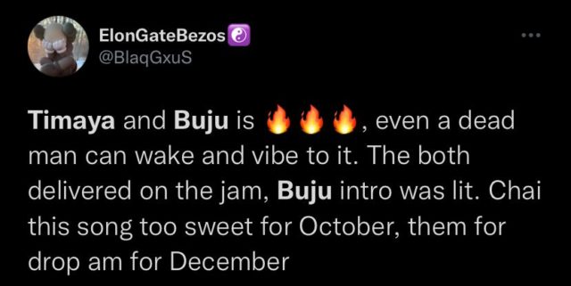 See Reactions to Timaya and Buju New Song Cold Outside NotjustOK