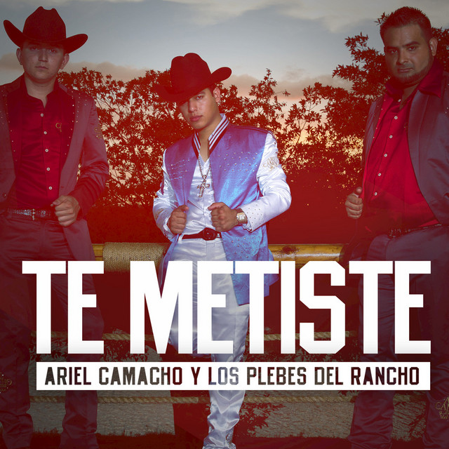 Te Metiste Lyrics By Ariel Camacho Y Los Plebes Del Rancho