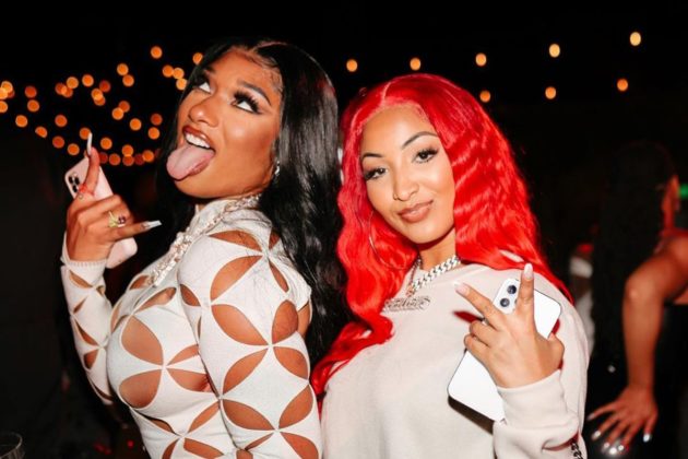 Official Lyrics To Lick By Shenseea Ft Megan Thee Stallion