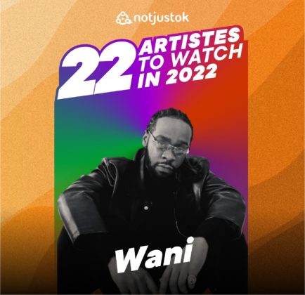 Wani Lagos Vice City 2