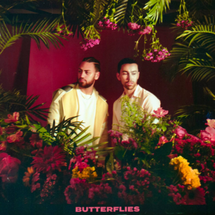 [LYRICS] Butterflies Lyrics By Max & Ali Gatie