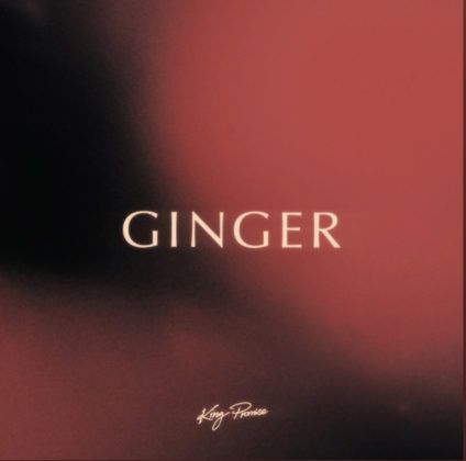 Ginger Lyrics By King Promise | Official Lyrics
