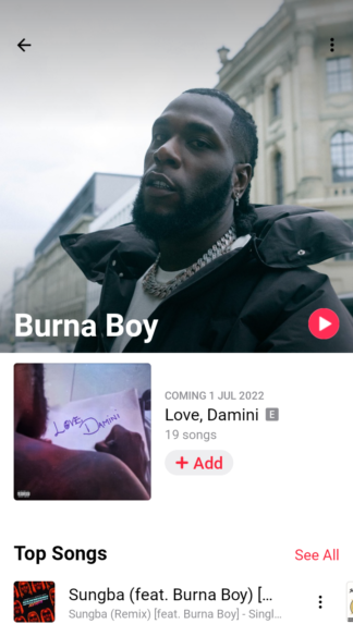 Number Of Tracks Burna Boy's 'Love Damini' Album