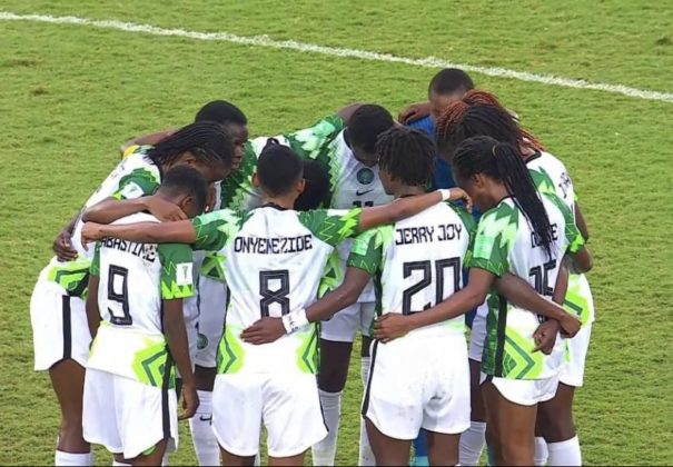 Falconets of Nigeria