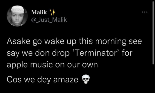 Asake Terminator